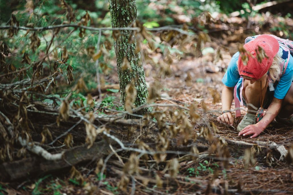 girl looking at sticks on ground in forest